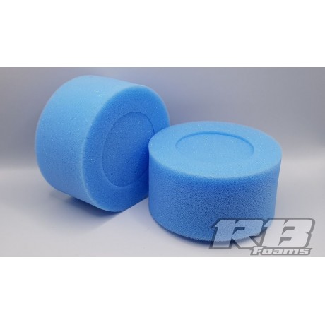 Rude Bits 10th Foam Tyre Insert  "Cheaters" - Rear (pr) #RBFC1