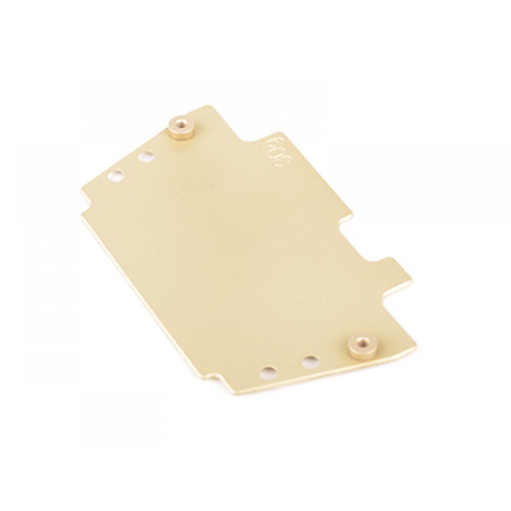 Schumacher U7678 Brass Radio Plate (30g) - Cougar Laydown