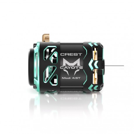 CAYOTE CYEB11007 CREST Brushless Motor - 6.5T