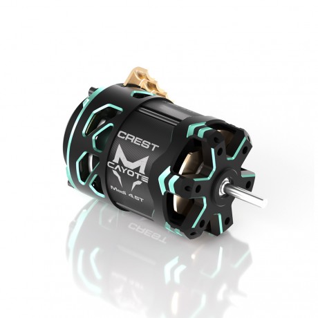 CAYOTE CYEB11007 CREST Brushless Motor - 6.5T